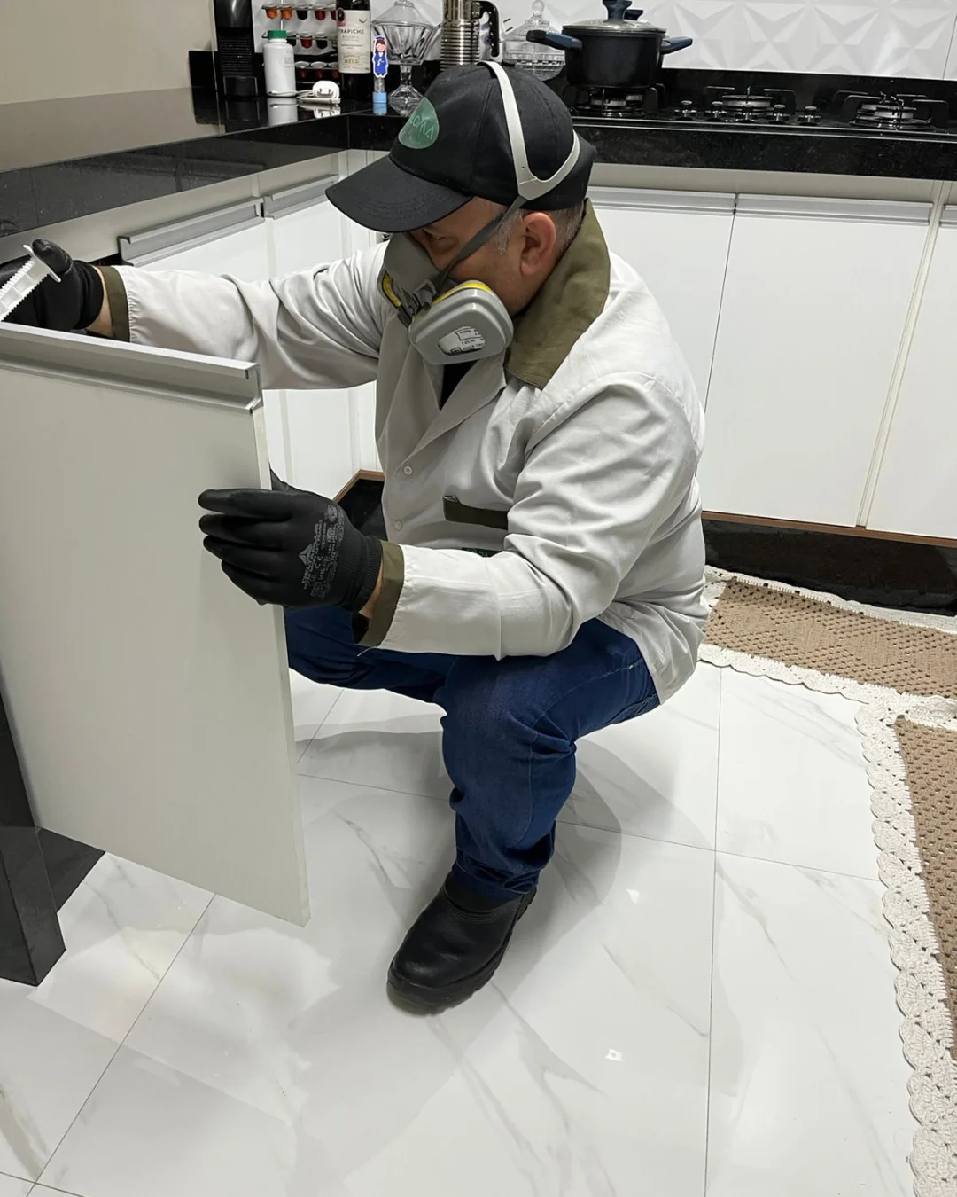 Controle de ratos e camundongos - Desratização Paloma