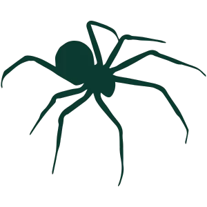 Ícone de Aranha - Sanitização em São Paulo
