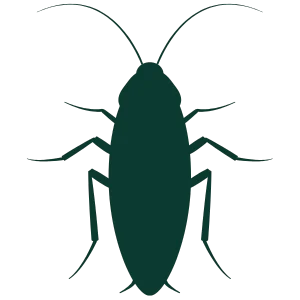 Ícone de Barata - Dedetização em São Paulo