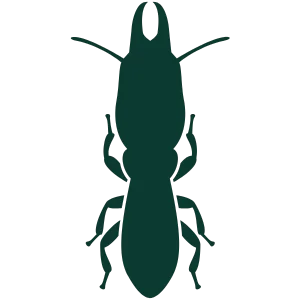 Ícone de Cupim - Descupinização em São Paulo