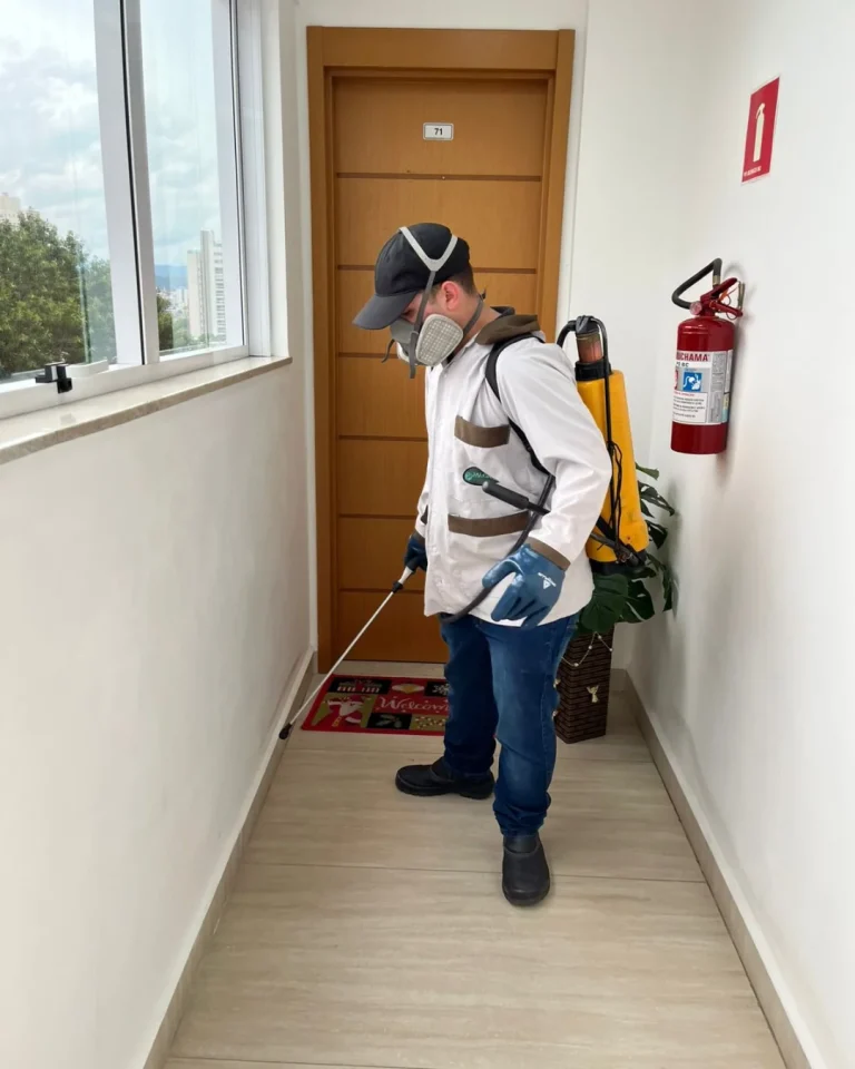 Descupinização de madeira, móveis e estruturas - Dedetizadora Paloma